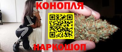 прущие грибы Нальчик