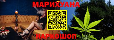 прущие грибы Нальчик