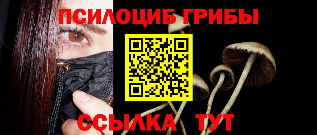 Городец  Псилоцибиновые грибы GOLDEN TEACHER  Вход с VPN 